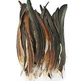 50 Pcs Natural Roosters Feathers, Natural Feathers Decoration, Soft Pheasant Tails Feather, Brown Rooster Tails Feather for Dream Catchers DIY, Hair Hats, Cosply Props, Party Decoration (StyleA,50pcs)