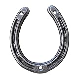 Decorative Cast Iron Horseshoe | cast iron decorative wall door decor | Wedding Arts and Craft | Fixing screws included | 9cm (h) x 7.5cm (w) | Horse shoe good luck charm