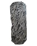 Orthoceras Giant Plate Ammonite Fossil (Fossils) ORT1