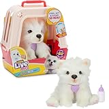 Little Live Pets My Really Real Puppy - Luna The Samoyed Realistic Interactive Toy Puppy That Reacts To Your Touch 60+ Sounds and Reactions Soft Fur, Weighted Paws