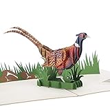 Cardology - Pheasant Shooting Pop Up Card | Birthday Cards, Father's Day Cards, Mother's Day Cards, Shooting Gifts For Men | Handmade