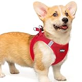 rabbitgoo Dog Harness Small Dog, Step-in Soft Mesh Puppy Harness with Reflective Strips, Lightweight Breathable Pet Vest for Walking Training, Red, L