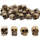 GYTFOG 20Pcs Mini Plastic Skull Heads, Skeleton Skull Decorations, Halloween Decorations, Realistic Skull Decor for Terrarium, Fish Tank, Party Decor, Home Ornaments and Photo Props