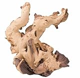 Biotope Aquatics Ltd Aquarium Sinkable Mopani Driftwood - Various Sizes - Natural Bogwood Fish Tank Wood Decoration Landcaping Java Fern or Moss (10-23cm)