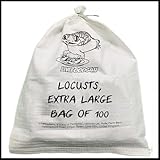 Livefoods4u XL Extra Large Locust Live Food (35-50mm) Bag of 100 | Perfect for Reptiles | Sustainably bred | Live food for Reptiles