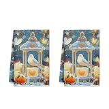 Bird Kitchen Towels, Winter Rustic Lantern Butterfly Winter Blue Drying Hand Towels Rv Kitchen Decor 16x24 Inch (Set of 2)