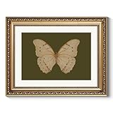 ARPEOTCY Vintage Gold Framed Wall Art, Classical White Butterfly Paintings, Dark Moody Green Canvas Prints Artwork with Frame, Victorian Wall Decor for Living Room Bathroom Bedroom 11x14 inch