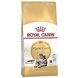 Royal Canin Maine Coon Adult Dry Cat Food 400g
