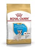 Royal Canin French Bulldog Puppy Dry Puppy/Junior Food 10kg