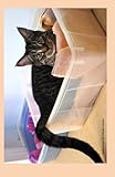 Malibu in bed 2015 Weekly Calendar: 2015 weekly engagement calendar with a cover photo of Malibu in his cozy cat bed at Ralphie's Retreat - A ... feline leukemia. (Cats of Ralphie's Retreat)