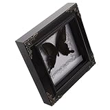 BESTonZON Vintage Butterfly Specimen Frame for Home Decor Framed Butterfly Collection Display Garden Butterfly Wall Art