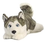 Aurora, 26263, MiYoni Husky Lying, 11In, Soft Toy, Grey