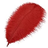 MWOOT 10pcs Natural Ostrich Feathers, 10-12inch(25-30cm) Crafts DIY Plume Feahter for Centerpieces Home Wedding Party Table Decoration (Red)
