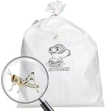 Livefoods4u Live Locusts Large x 100 (2-3.5cm) Reptile and Lizard Livefood Bulk Bag | Locusts Live Food | Live Locust for Reptiles