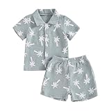 BeliBacca Toddler Baby Boy Cotton Linen Set Hawaiian Outfits Palm Tree Print Short Sleeve Button Down Lapel Shirt Shorts Set 2pcs Kids Summer Clothes (Blue, 18-24 Months)