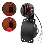 Amazicha LED Tail Brake Rear Light 3/4" Axle Hole Curved Side Mount License Plate Bracket Motorcycle Compatible for Harley Honda Yamaha Suzuki Kawasaki Chopper Bobber