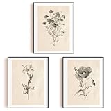 INFUNLY 6pcs Vintage Plants Wall Art Prints Set Botanical Pictures Poster 8"×10" Boho Floral Artwork Decor Unframed Canvas Poster Prints Aesthetic Wall Art for Bedroom Kitchen Living Room Home