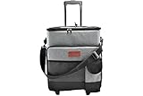 apollo THE HOUSEWARES BRAND Cooler Bag 35L Wheels, Insulated Picnic Bag Large Soft Bag for Outdoor, Camping, BBQ, Travel, Portable, Keeps Drink Cool for 6 Hours, Grey