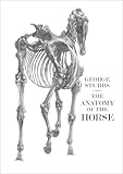 The Anatomy of the Horse