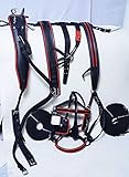 Aces Equine NYLON HORSE CART DRIVING HARNESS IN BLACK & RED SIZE FULL, COB, PONY (COB)
