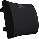 Everlasting Comfort Lumbar Support Cushion for Car Seat and Office Chair - Memory Foam Back Rest - Back Support Cushion for Chair with Adjustable Straps for Office & Car Use
