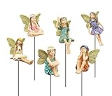 FANWNKI Fairy Garden Vintage Resin Fairy Figurines for Outdoor Garden Yard Lawn Supplies Home Decor Set of 6