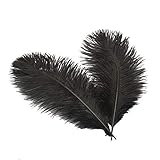 Sowder 6-8inch(15-20cm) Ostrich Feathers Plume for Wedding Centerpieces Home Decoration Pack of 10pcs(black)