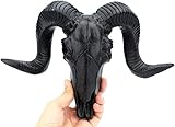 Resin Goat Skull Head Wall Hanging Decor Succulent Long Horns Wall Decoration 3D Animal Head Skull Sculpture Figurines Crafts Ornament Home Room Nordic Style Artwork Props (Black)