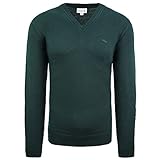 Lacoste Long Sleeve Mens Green Pullover V-Neck Wool Sweater AH2987 YZP