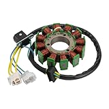 GOOFIT 12 pole Magneto Stator Coil Ignition Generator Replacement For GT250 GV250 2002-2010