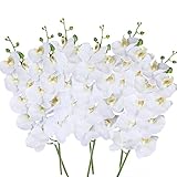 27" Artificial Phalaenopsis Flowers 6 Pcs White perhaps faint yellow Artificial Orchid Flowers Stem Plants for Home Décor