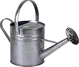 Garden Watering Can Galvanised Outdoor Metal Indoor Plants Flowers Vegetable Growing Can 5L