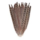 JIHUOO 10 Pcs Long Pheasant Tail Feathers Natural Pheasant Feathers Floral Arrangement Feathers Feather Wedding Centerpiece Home Party Decorations