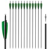 30 Inch Carbon Arrows - Archery Practice Hunting Arrows, 12 Arrow Shafts 500 Green Turkey Feathers for Recurve Bow Hunting Arrows