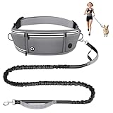 Looxmeer Hands Free Dog Lead, Dog Running Lead with 2 Handle, Reflective Adjustable Waist Walking Belt, Shock Absorbing Bungee Leash for Jogging Hiking Canicross Training for Small Medium Dogs, Grey