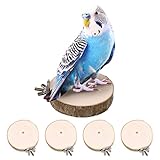ALTcompluser 4 Pack Bird Perch Stand Platform Toy Parrots Cage Toys Round Wooden Springboard for Budgie, Cockatiels, Finches, Small Parakeets Bird Toys