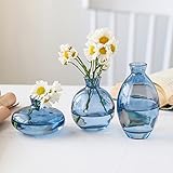Hniuyun 3Pcs/Set Glass Vase, Small Mini Flowers Bud Vases, Transparent Hydroponic Vase Minimalist Aesthetic Home Decor (Blue)