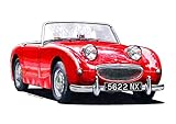 Austin-Healey Sprite Mk1 Frogeye Greeting Card A5 size
