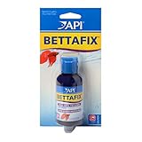 API BETTAFIX Antibacterial & Antifungal Betta Fish Infection and Fungus Remedy 50ml Bottle