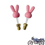 2pcs motorcycle mirror plugs Compatible with Honda XBR500,personalized decoration, with soft cushioning rubber,tuning decorative accessories(pink)