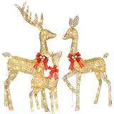 HOYECHI Lighted Christmas Decoration Deer 3 Piece, Light up Christmas Decor Reindeer Family Set for Indoor Outdoor Front Yard Porch with LED Lights, Plug, Extension Cord, Ground Stakes - Gold