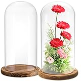 Mezchi 2 Pack Glass Cloche Display Dome, 9.8x4.7 inch Decorative Glass Bell Jar, Clear Glass Dome Showcase with Dark Brown Wooden Base, for Plants, Medals, Photos, Antique Collectibles