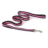 Waist Dog Leash for Running Waist Pet Leash Dog Walker Running Belt Blush Earth Color Belts Chain Ring Bungee for s Runner Pink Pearlescent Lip Gloss