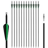 12pcs Archery Carbon Arrow Set, 30 Inch with Removable Arrows for Compound and Recurve Bows Practice Hunting Targeting Arrows