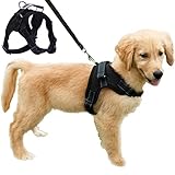 Dog Harness Mesh Breathable Comfortable Pet Vest No Pull Adjustable Soft Padded Dog Power Strap (S, Black)