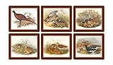 Lady Clare Gould Game Birds Placemats - Set of 6