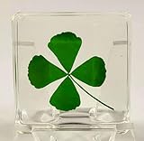 38mm Real Four Leaf Clover Shamrock in Crystal Clear Lucite Resin Specimen St.Patrick's Day "Lucky Leaf" Gift Crafts Collection for Botany Science Education & Desk Ornament Display Small Paperweight