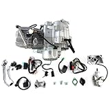 Copachi 190CC Engine Fits for Zongshen & Daytona 190CC Motorcycle Aftermarket Part