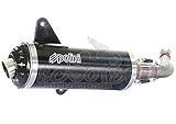 Exhaust Polini BLACK ALUMINIUM / Vespa GTS 300...