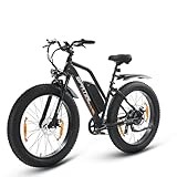 SPATIAL Electric Bike, 26" 4.0'' Fat Tire Mountain Ebike with 48V 13Ah 624 Wh Battery, Up to 104KM Range, 250W 80Nm Motor, LCD Display with 5 PAS, MTB for Adult Man and Woman